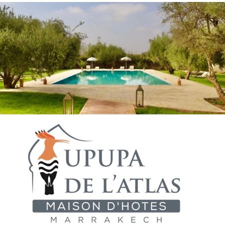 Upupa De L'Atlas Ouled el guerne Kültér fotó
