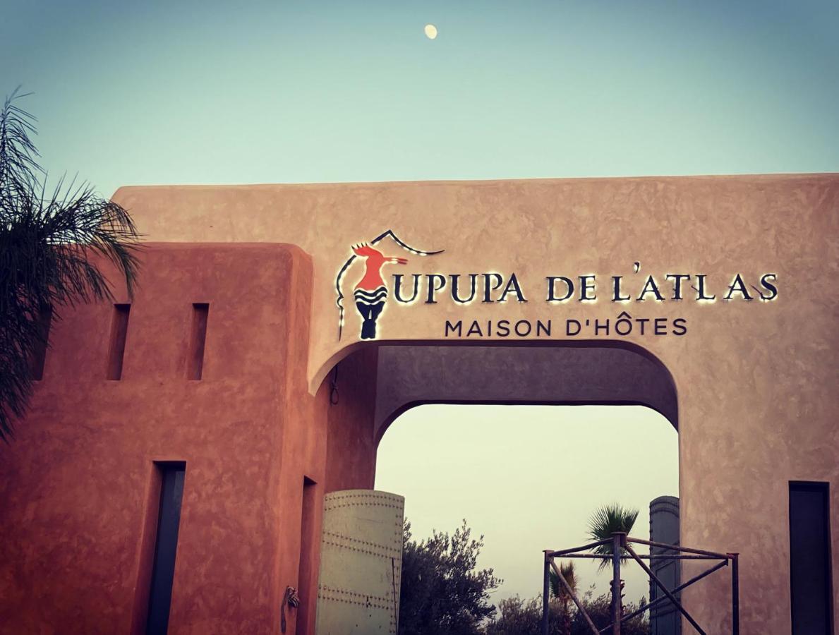 Upupa De L'Atlas Ouled el guerne Kültér fotó