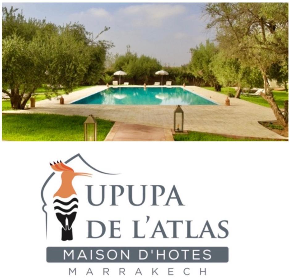 Upupa De L'Atlas Ouled el guerne Kültér fotó