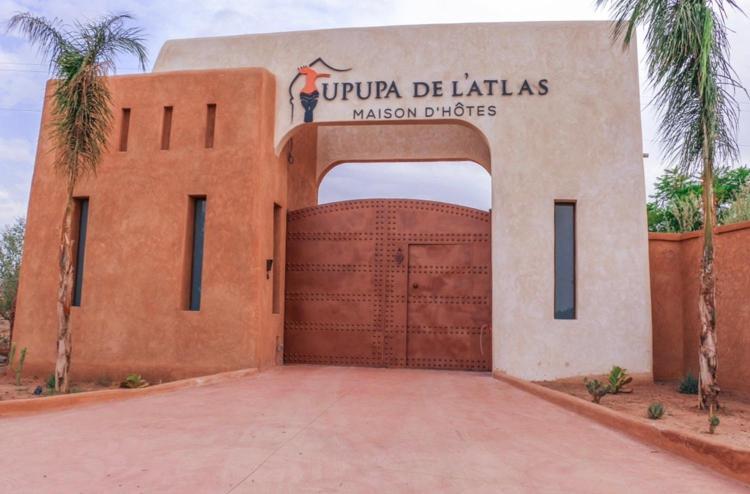 Upupa De L'Atlas Ouled el guerne Kültér fotó